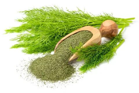 فروش شوید خشک فله